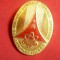 Insigna Realizari Stiintifice si Tehnice Sovietice - Bucuresti 1980 ,h= 3,6cm