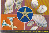 Bnk cp Constanta - Ciomplexul muzeal de stiinte ale naturii - necirculata, Printata
