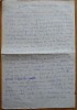 Text olograf pe 2 pagini A4 al lui Zambaccian, referitor la expozitia pictorului Luminita Costea