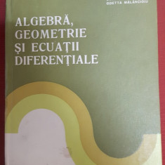 Algebra, Geometrie si ecuatii diferentiale -Constantin Udriste