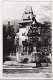 Bnk cp Sinaia - Foisorul - circulata, Printata