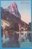 CARTE POSTALA AUSTRIA - SALZKAMMERGUT, INCEPUTULSEC. XX, Necirculata, Printata