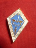 Insigna Sindicala - Comert URSS ,metal si email , h=3,6cm