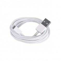 Cablu Date &amp;amp; Incarcare Rotund APPLE Lightning - 2 Metri (Alb) foto