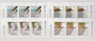 DB Romania 2010 Fauna Dunareana Ocrotita straif superior MNH foto