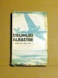 X5- DRUMURI ALBASTRE , INSEMNARILE UNUI PILOT - CONST. ARGESANU