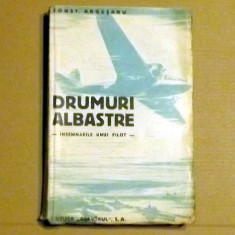 X5- DRUMURI ALBASTRE , INSEMNARILE UNUI PILOT - CONST. ARGESANU