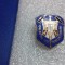 insigna Colectia Rebedea Miron