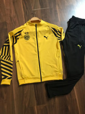 Trening PUMA Borussia Dortmund copii 8-14 ani-pantalon conic foto