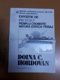 Planșă, Doina C. Hordovan, Expoziție de pictură Periplu cromatic, natură statică