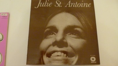 juli st. antoine - vinyl foto