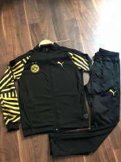 Trening PUMA BORUSSIA DORTMUND-pantalon conic 2018 foto