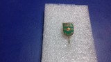 insigna expo Fotbal Ploiesti 1984
