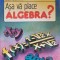 ASA VA PLACE ALGEBRA? - Ioan Dancila