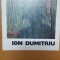 Ion Dumitru, 1990