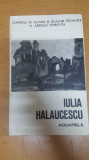 Iulia Halaucescu, Acuarelă, T&icirc;rgoviște 1972, Catalog