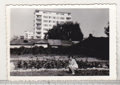 bnk foto - Ploiesti - Casa pe Calea Campinii - anii 70-80 - actualul Mega Image foto