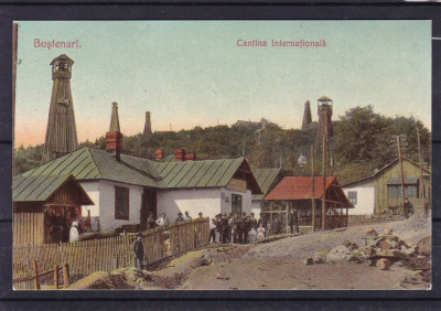 BUSTENARI CANTINA INTERNATIONALA EXPLOATAREA PETROLIERA 1916 STARE FOARTE BUNA foto