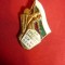 Insigna Comsomolista Bulgaria ,metal si email ,h=3x4cm