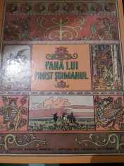 PANA LUI FINIST SOIMANUL foto