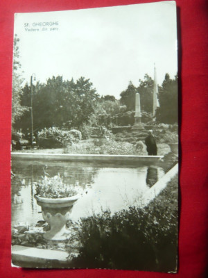 Ilustrata -Sfantu Gheorghe - Vedere din Parc RPR circulat 1964 foto