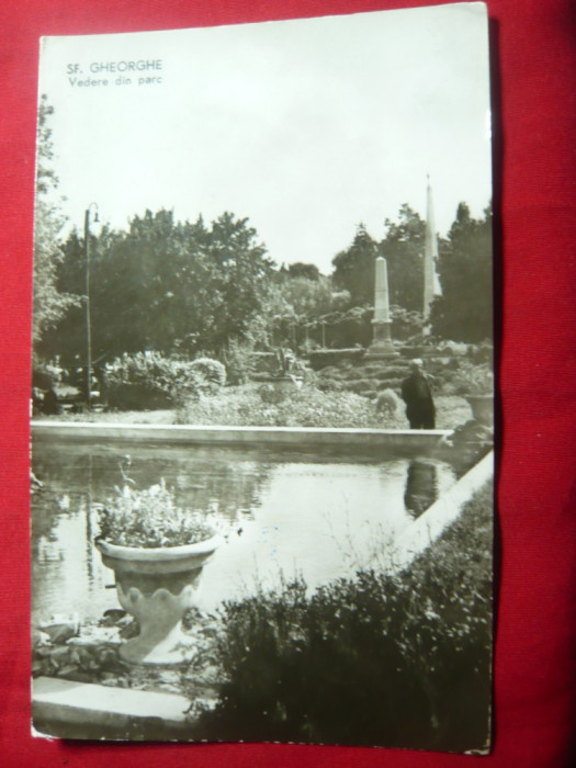 Ilustrata -Sfantu Gheorghe - Vedere din Parc RPR circulat 1964