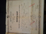 Certificat de absolvirea cursului inferior - Gimnaziul Oituz, Tg. Ocna, 1924