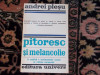 Andrei Plesu - Pitoresc si melancolie