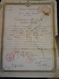 Certificat de absolvire studii liceale - Lic. Matei Basarab, Buc, 1929