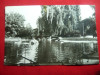 Ilustrata Roman - Vedere din Parc - anii &#039;70, Necirculata, Fotografie