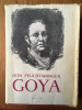 GOYA SAU DRUMUL SPINOS AL CUNOASTERII DE LION FEUCHTWANGER