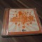 CD VARIOUS SUMMER COLLECTION 4 RARITATE!!!!ORIGINAL