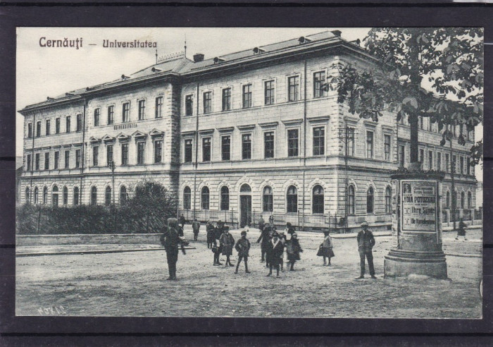 BUCOVINA CERNAUTI UNIVERSITATEA