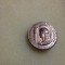 Insigna Soc. numismatica Deva