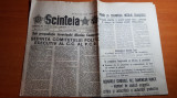 Ziarul scanteia 13 octombrie 1989-art. intrep. de tricotaje din cehu silvaniei