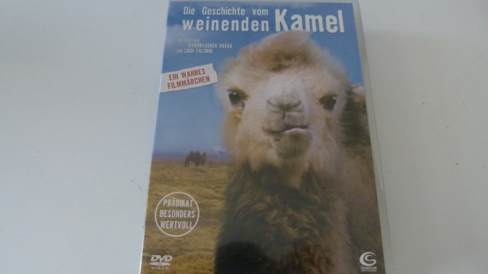 camila plingaciosa, dvd