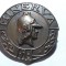 INSIGNA MINERVA - ALAMA - DIAMETRUL 30 MM