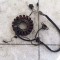 Stator generator Yamaha TT 600R
