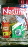 Minunile Naturii - Insectă - G&acirc;ndacul bombardier , revistă plus specimen real,