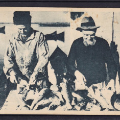 DOBROGEA TULCEA JURILOVCA SARATUL PESTELUI CIRCULATA 1950