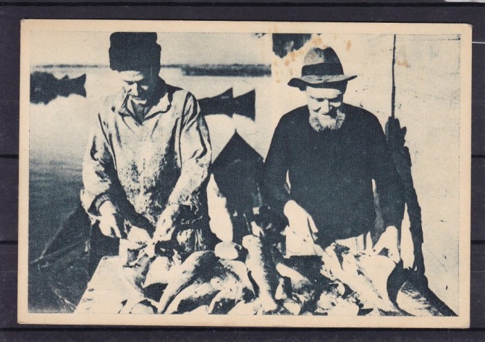 DOBROGEA TULCEA JURILOVCA SARATUL PESTELUI CIRCULATA 1950