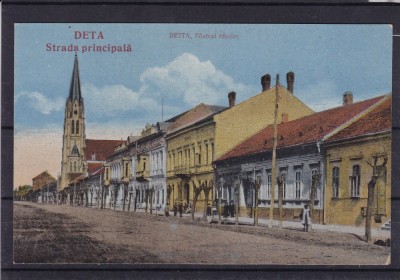 BANAT TIMIS DETA STRADA PRINCIPALA foto