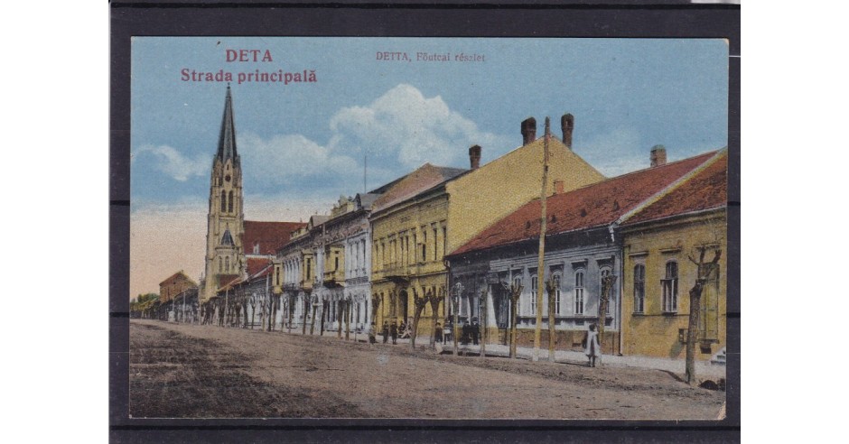 BANAT TIMIS DETA STRADA PRINCIPALA | arhiva Okazii.ro