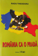 Radu Theodoru - Romania ca o prada - cu autograful autorului foto