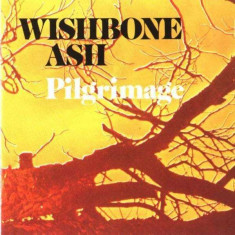 Wishbone Ash - Pilgrimage ( 1 CD ) foto