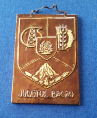 Tablou ornamental - heraldica - Bacau - metaloplastie foto