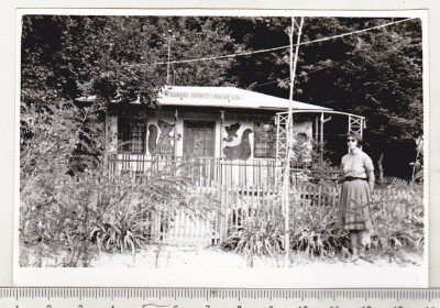 bnk foto - Cabana Veverita - anii `70 foto
