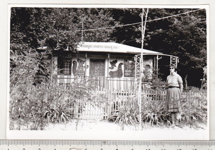 bnk foto - Cabana Veverita - anii `70