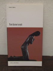 BRANCUSI -IONEL JIANU foto