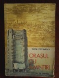 Tudor Stefanescu - Orasul cu amintiri